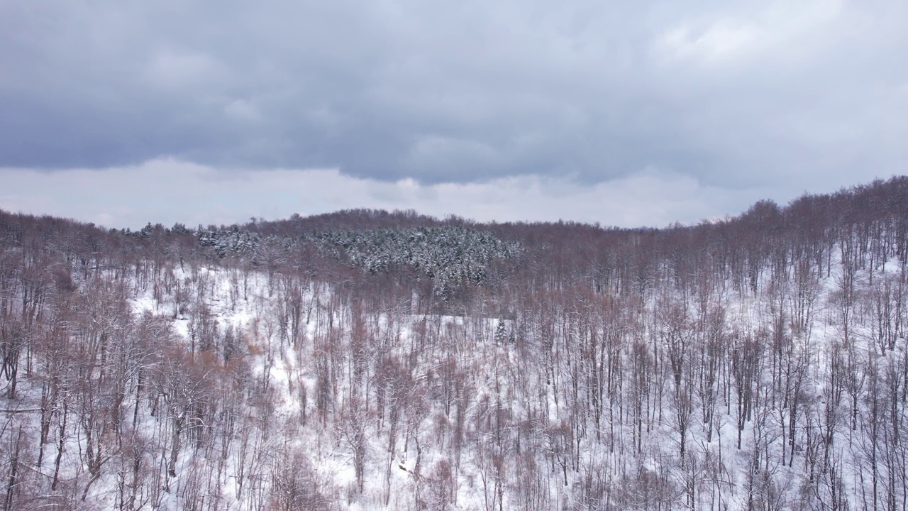 鸟瞰雪山。视频素材