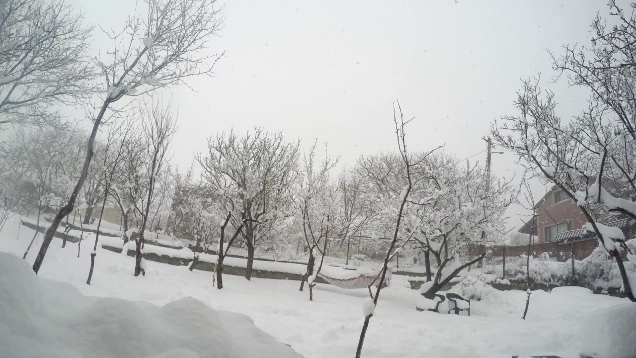 飘落的雪花在院子里，广角观看视频素材