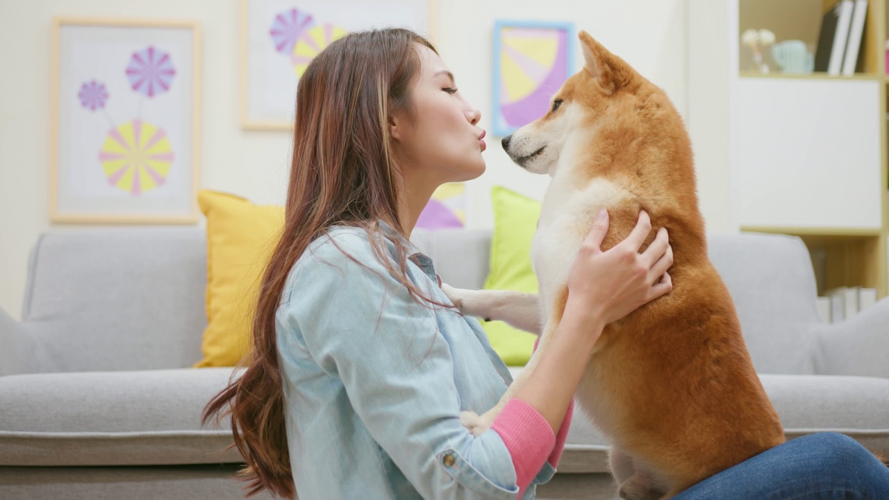 亚洲女人抱抱狗视频素材