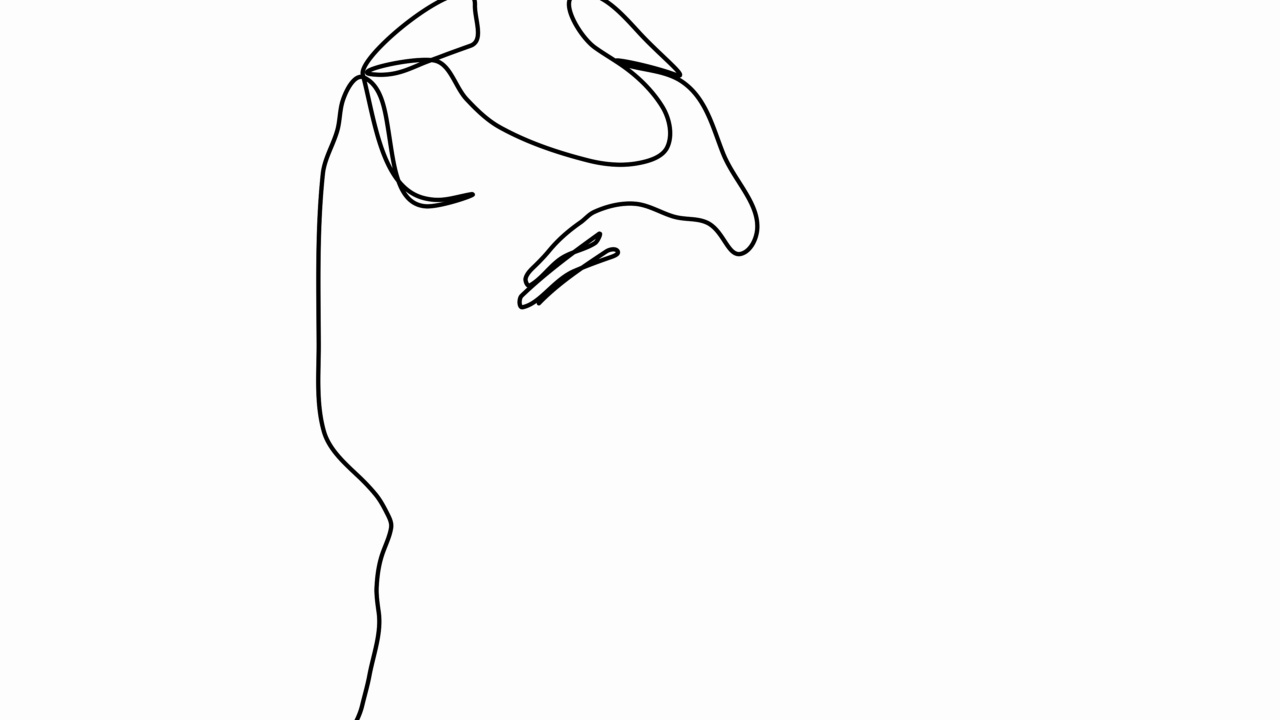 连续的黑色单线画出大肚子孕妇在白色背景上。自画动画怀孕。手绘剪影图，设计简单。2D, 4k库存素材。线的艺术。视频素材画面2
