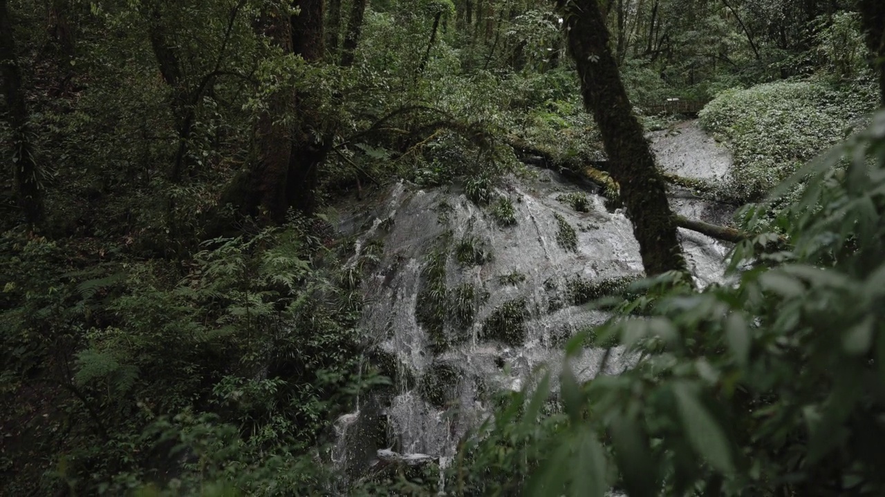 在雨季拍摄的小瀑布和小溪雨林景观视频素材