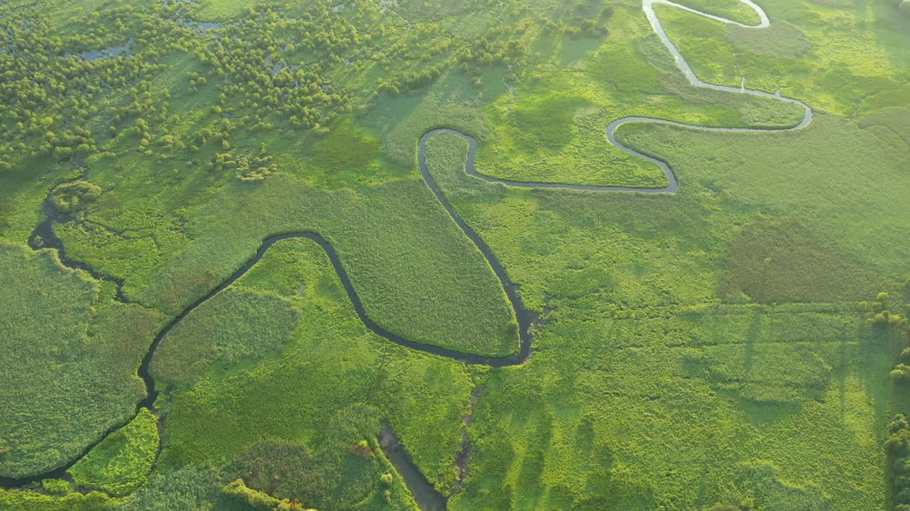 从鸟瞰，这条弯曲的河流蜿蜒流过沼泽。视频素材