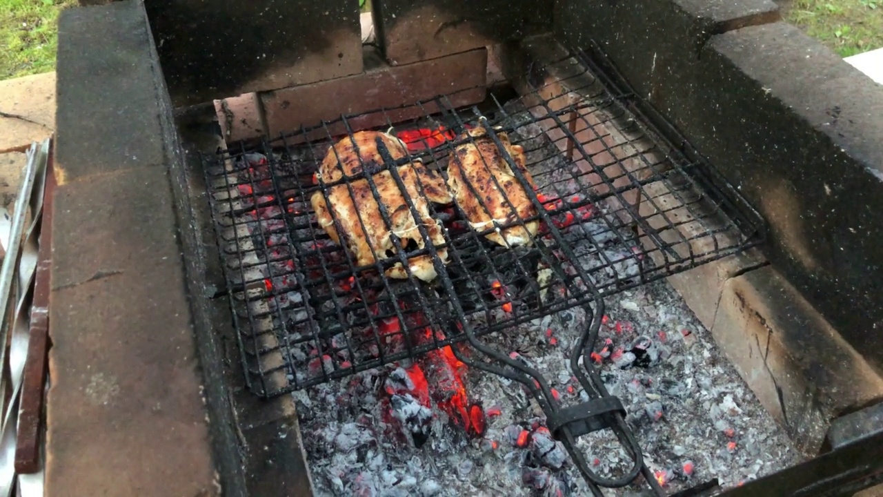 多莉。在明火木炭上烤鸡翅。在花园里烧烤。鸡的肉。烤的肉。鸡块在火上煮。美味的食物视频素材