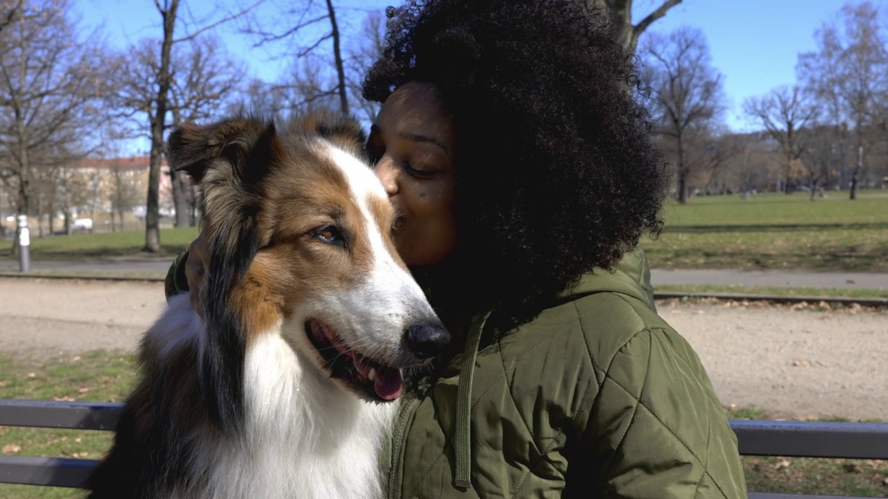 非洲妇女和她的白色和棕色的牧羊犬在公园外面视频素材