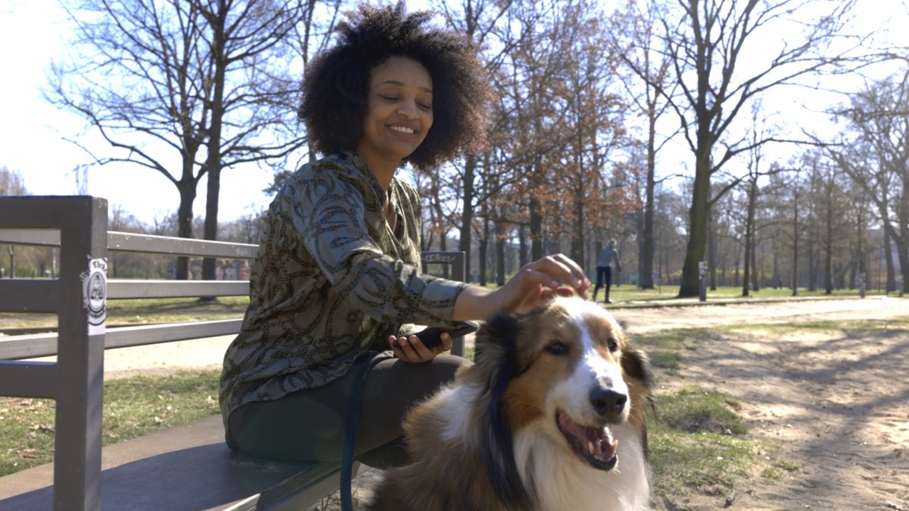 女人与手机放松在公园与一个可爱的白色和棕色的牧羊犬视频素材