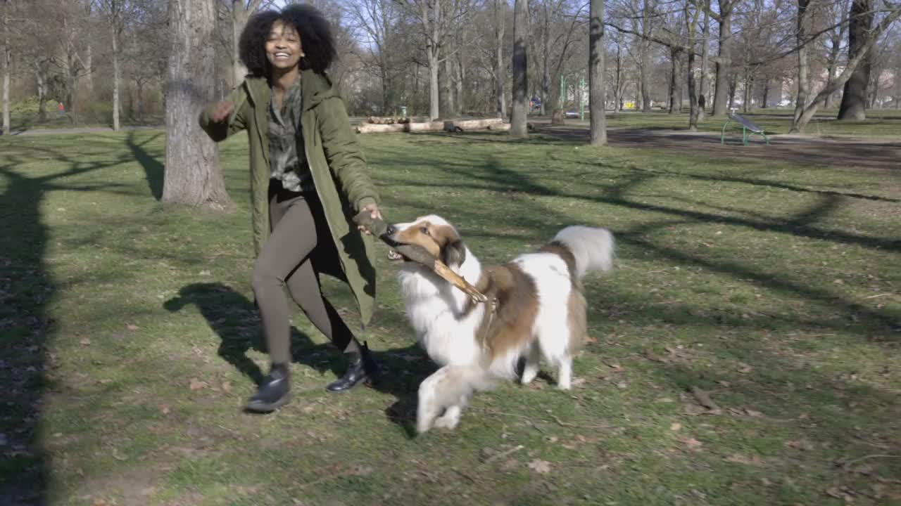 女人和她的宠物牧羊犬在公园里玩耍视频素材