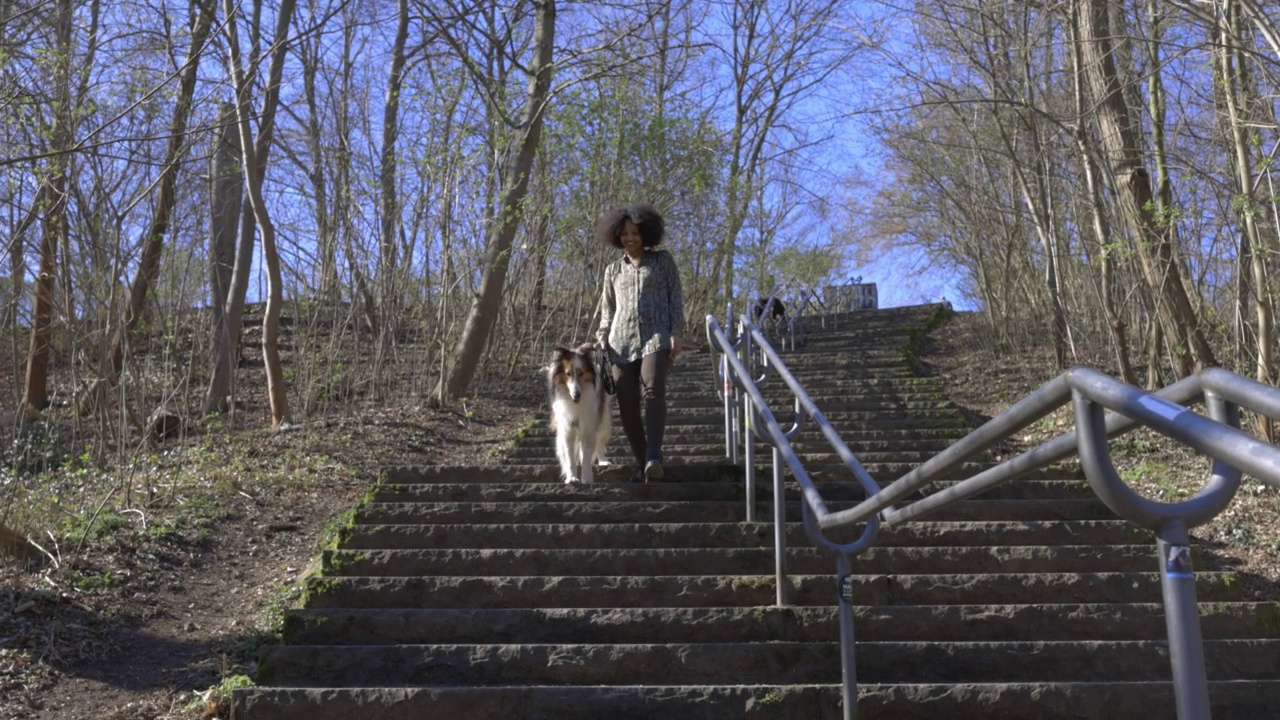 一名非洲妇女和她的宠物牧羊犬走下公园的台阶视频素材