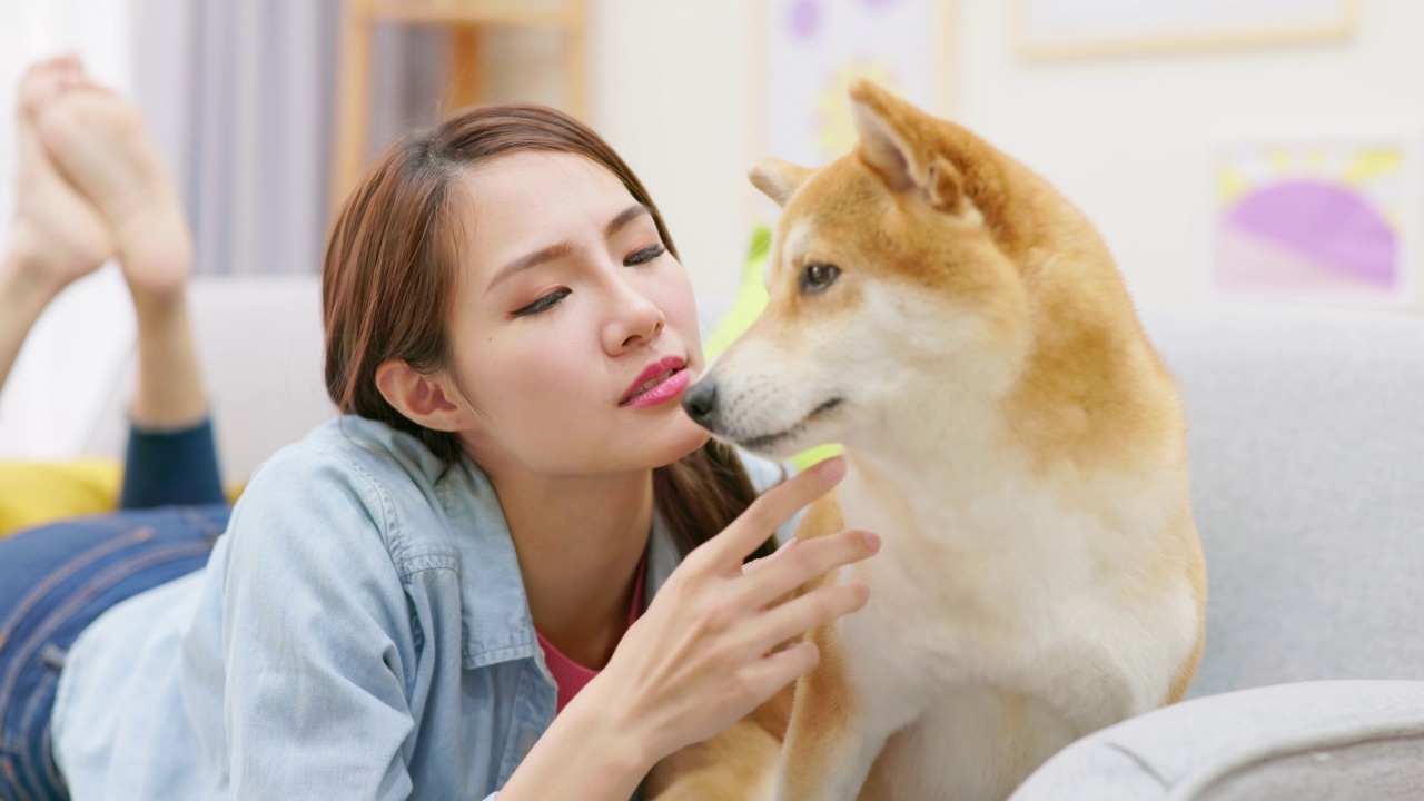 女孩和狗微笑着挥手视频素材