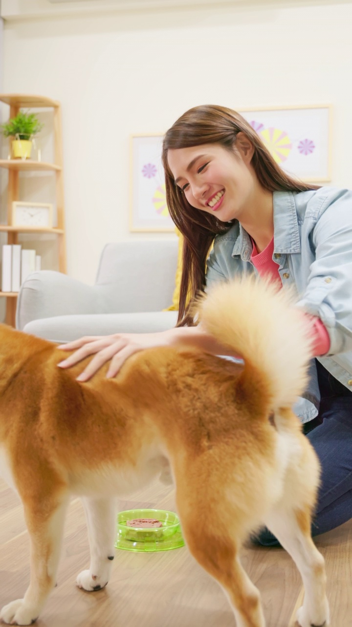 垂直女孩按摩狗视频素材