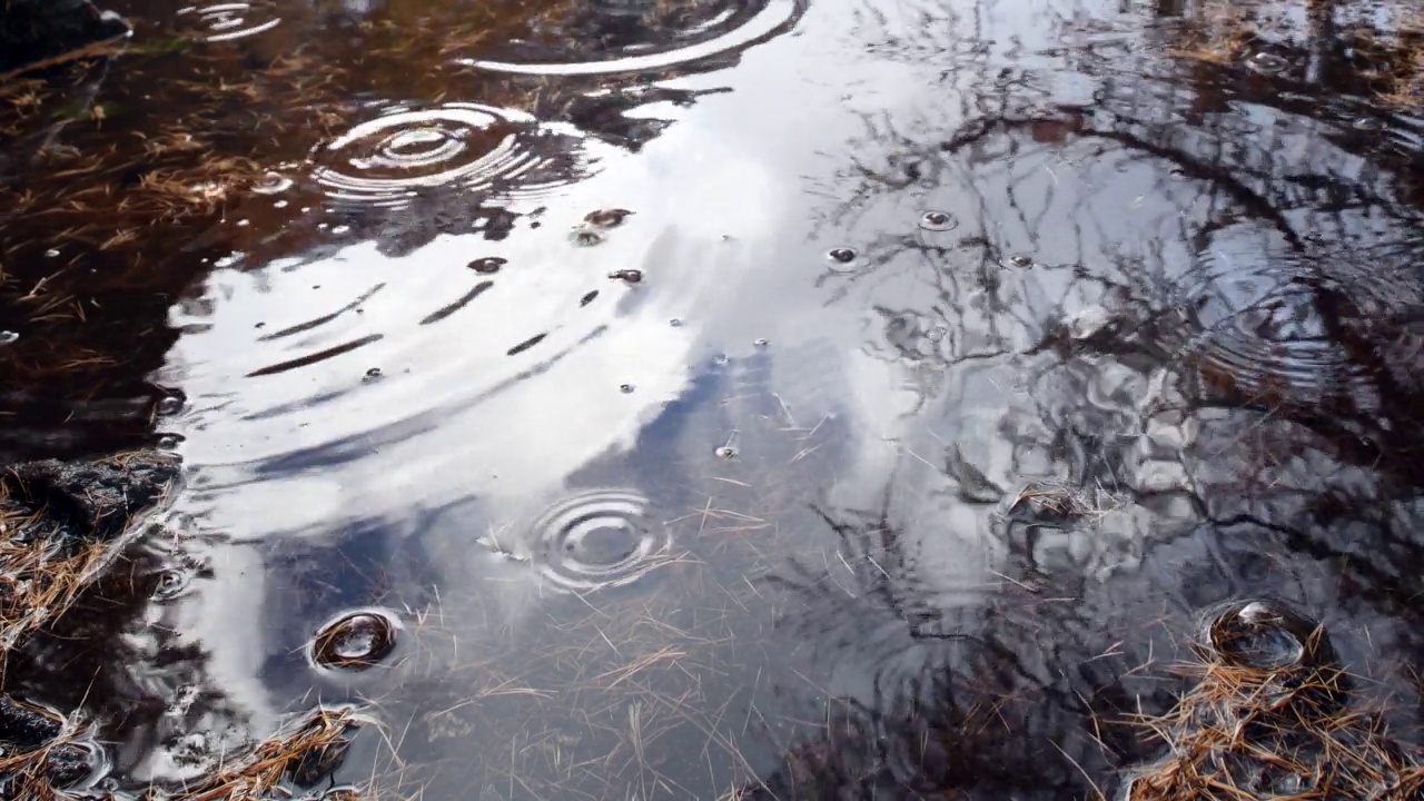 有雨滴的水坑视频素材