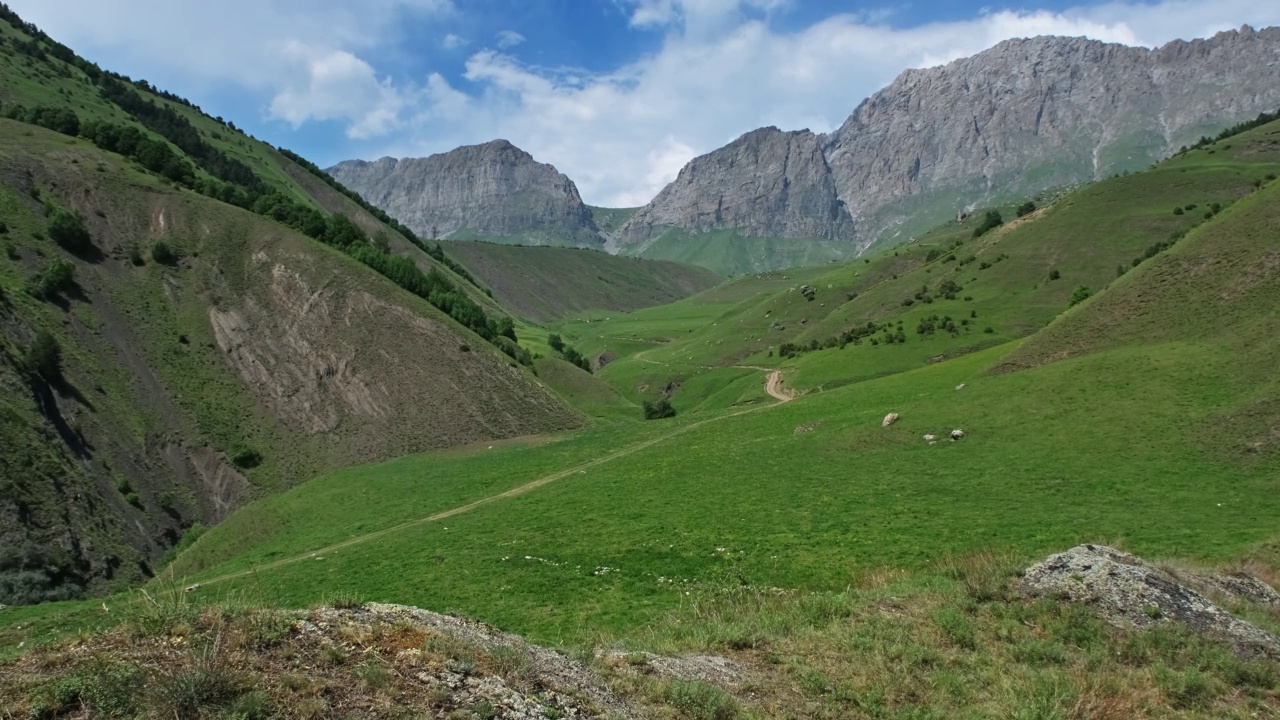 夏季景观与道路在山区视频素材