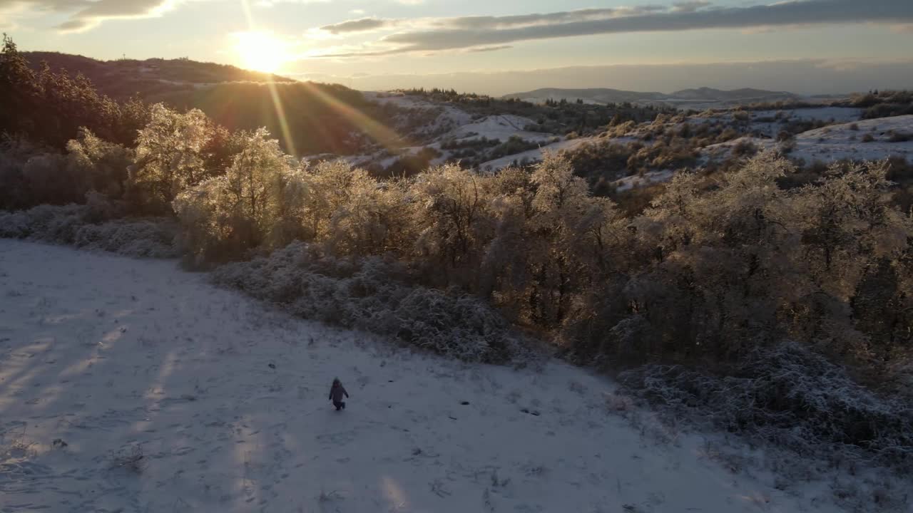 冬天的落日，冰冻的森林，阳光，雪白的树木。一个孩子在玩雪视频下载