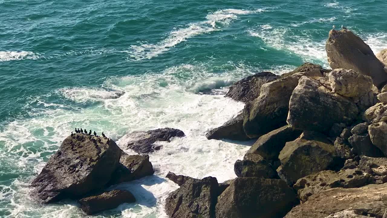 巨大的海浪冲击着海岸的岩石。鸬鹚栖息在悬崖上。视频素材