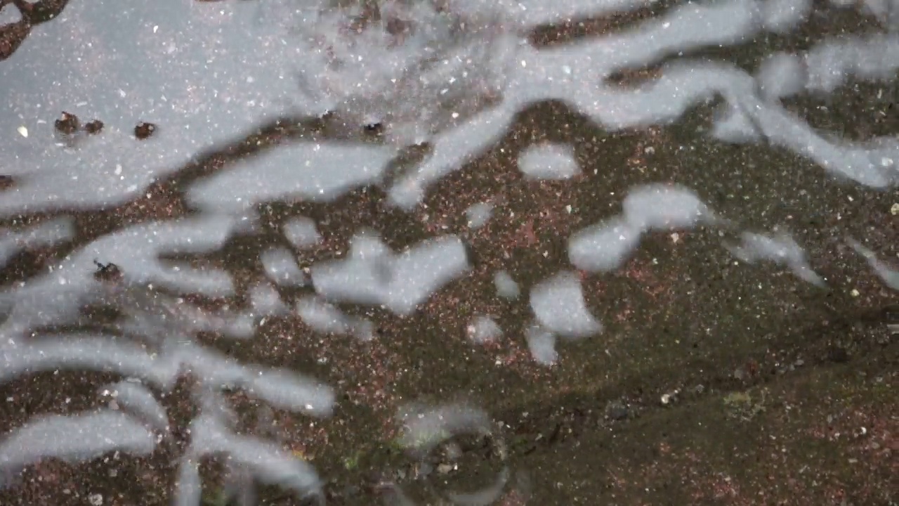 雨点在铺好的地面上的水坑里形成波浪。视频素材