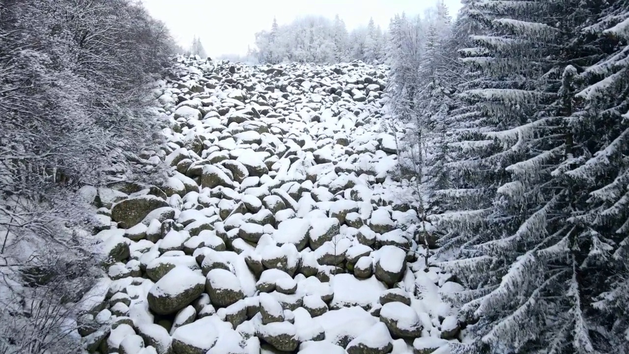 飞过雪山上的冷杉和积雪覆盖的冰碛。无人机的观点视频下载