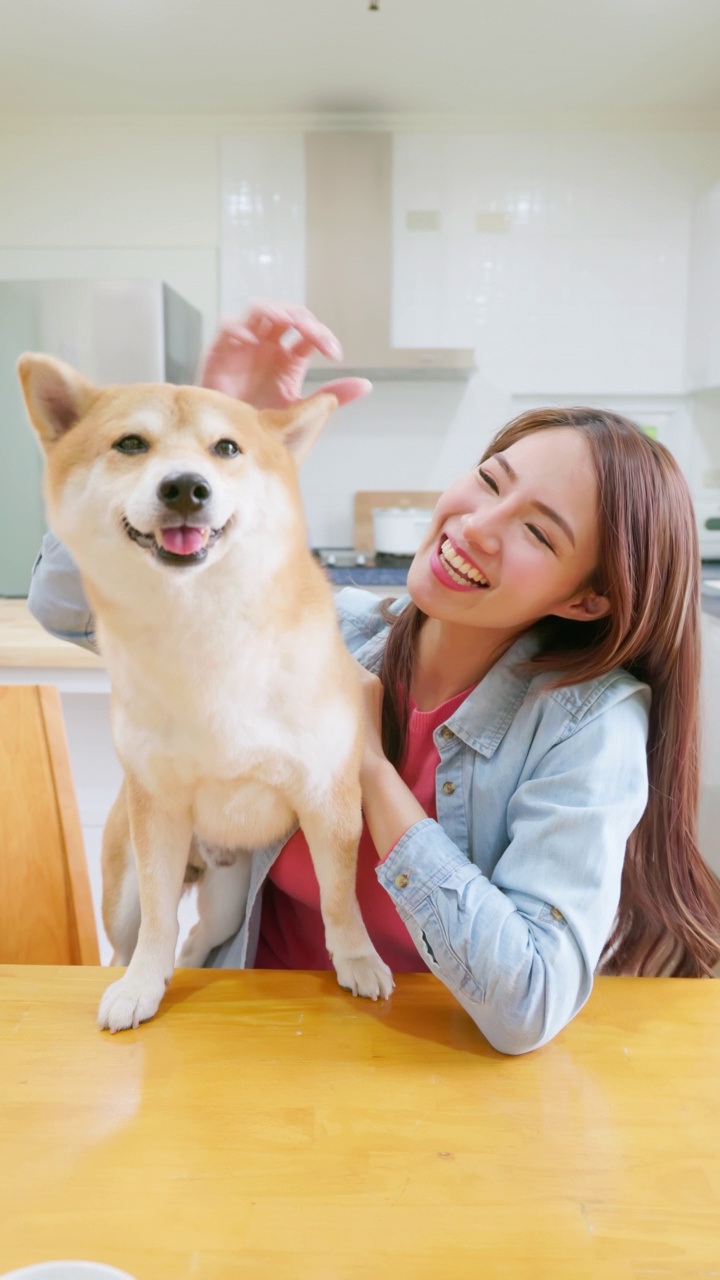 垂直女孩与狗肖像视频素材