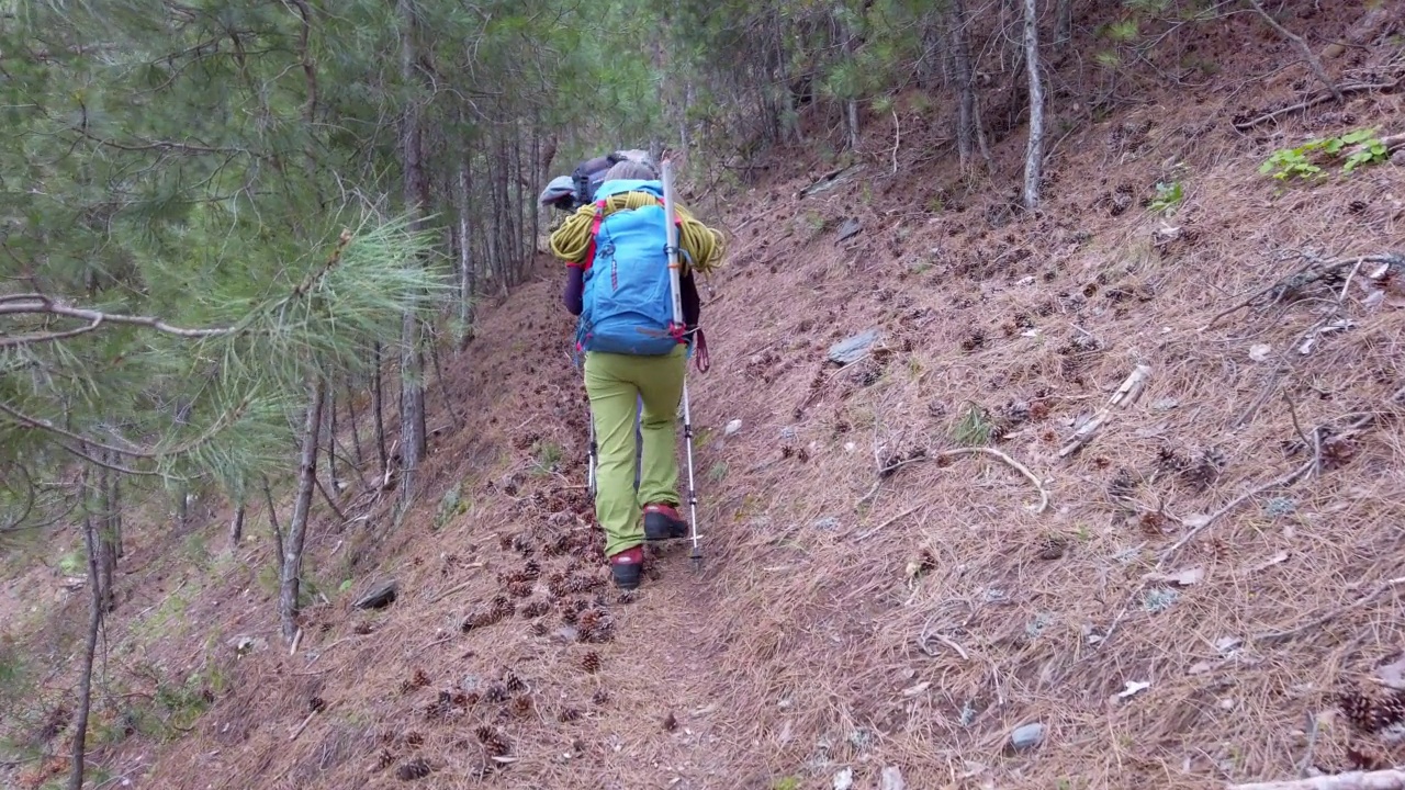 成功的登山队在开始登山之前，要在森林中的一条小径上行走视频素材