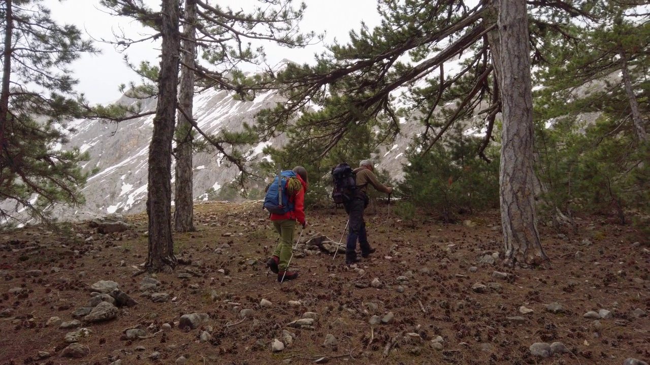 成功的登山队在开始登山之前，要在森林中的一条小径上行走视频素材