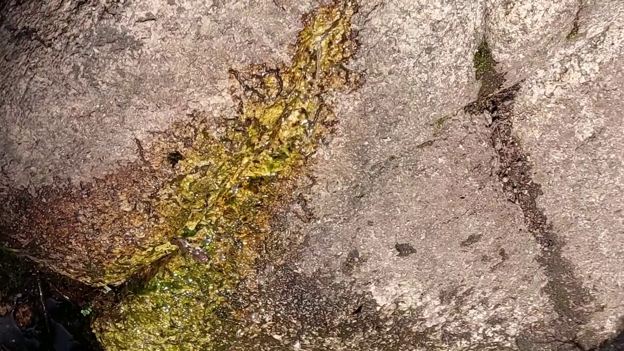 在马德里的瓜达拉马山脉，喷泉从花岗岩的裂缝中涌出视频素材