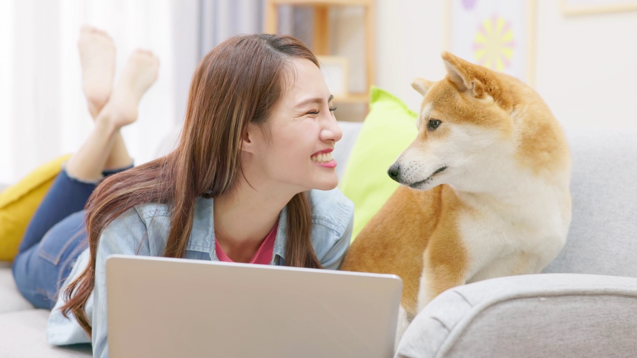 女孩和狗在沙发上视频素材