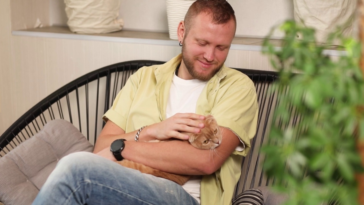 坐在扶手椅上的男人抱着可爱的姜黄色猫视频素材