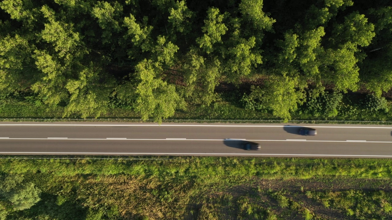 俯视图航拍汽车超车在道路上通过木景观从无人机pov视频素材