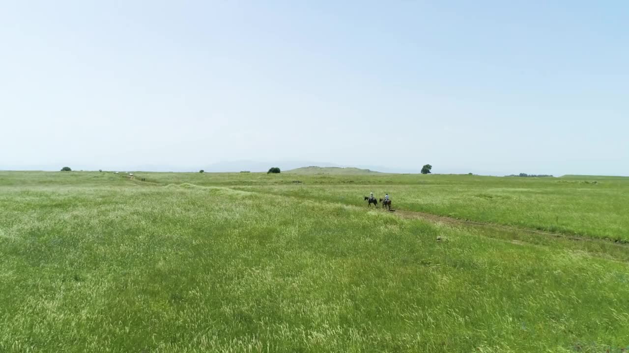 鸟瞰马在草原景观，戈兰高地，以色列。视频素材