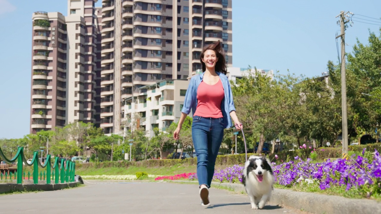 遛狗的女人视频素材