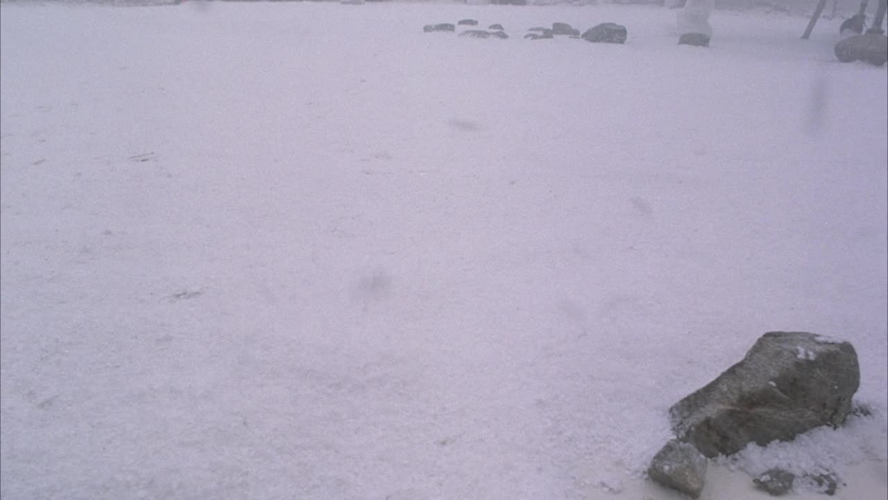 暴雪中大雪覆盖的地面。看到岩石在背景和右前景。看到穿红衣服的登山者用冰斧在雪地上爬行，当冰雪在他下面裂开时，他就会摔倒，露出裂缝。看红绳绷紧成视频素材