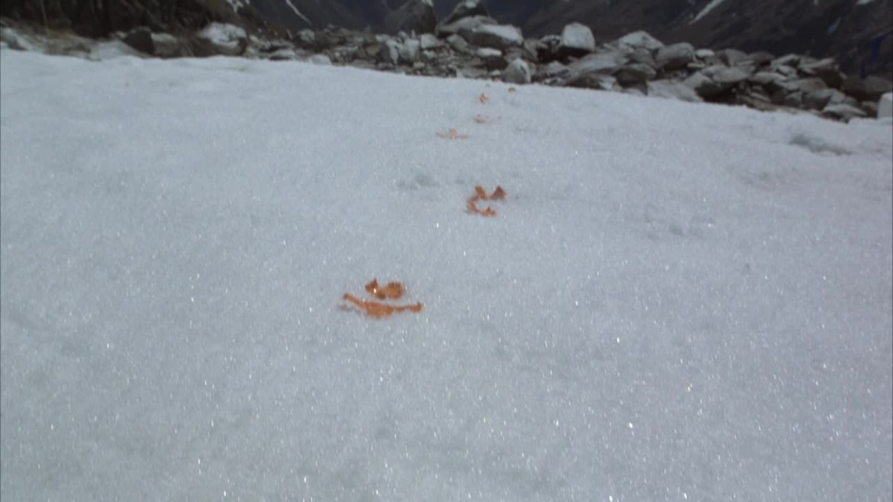 中等角度的橙色塑料碎片在雪中引导远离pov。沿着小路向上攀爬，可以看到后面有积雪覆盖的大卵石或岩石。当pov靠近堆时，橙色的小块被粉红色和橙色的球或球取代。看到雪的山视频素材