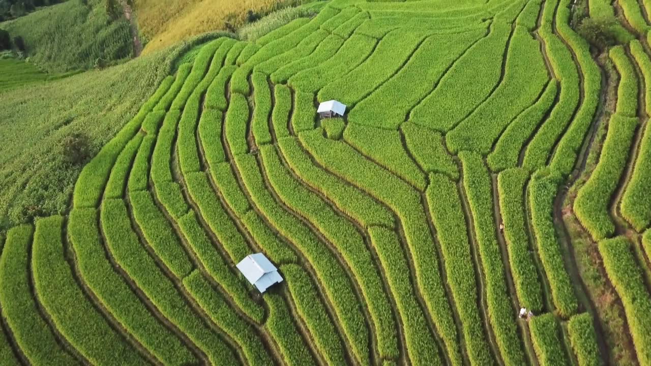 泰国北部农业梯田的航拍视频素材画面1