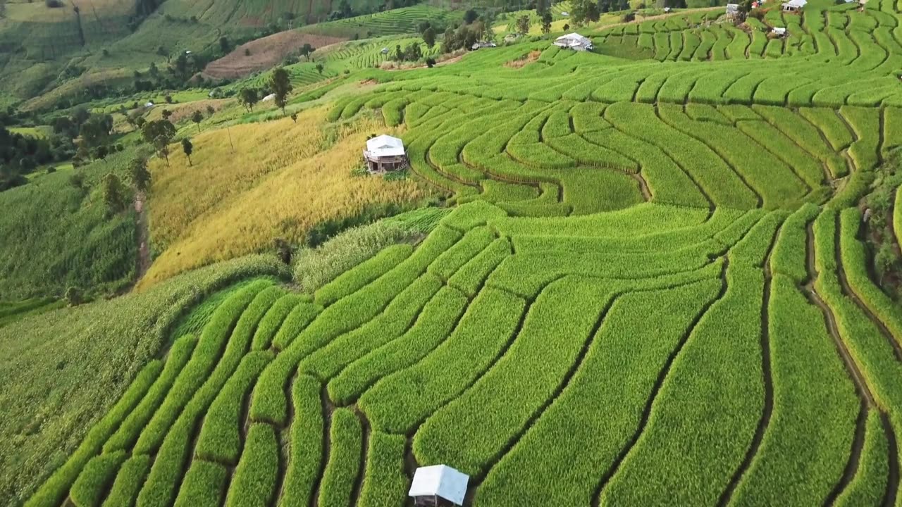 泰国北部农业梯田的航拍视频素材画面2