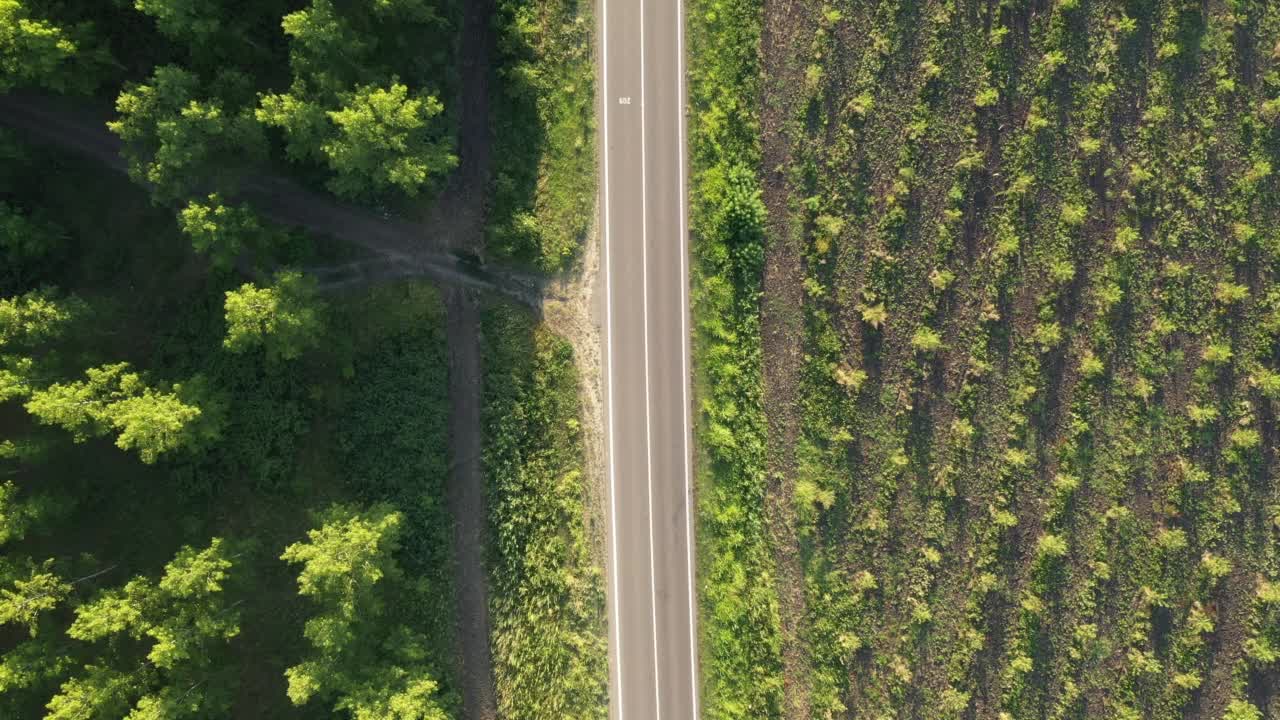 在公路上骑自行车的鸟瞰图，方向与三辆汽车相反，自上而下的无人机镜头视频素材