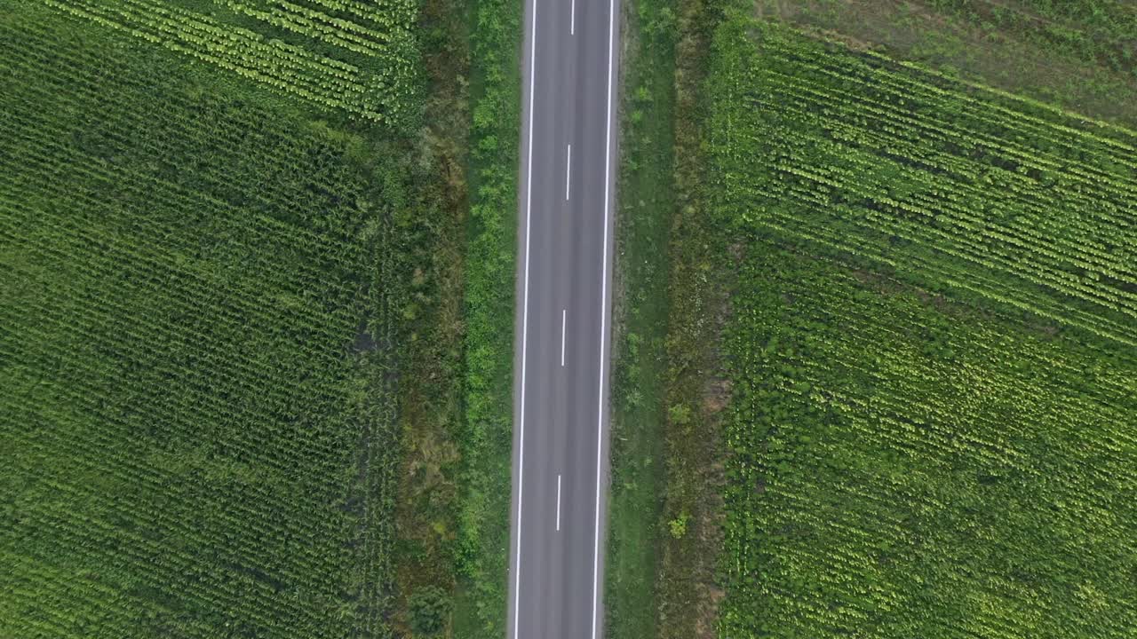 半挂车在公路上通过种植的绿色景观，俯视图视频素材