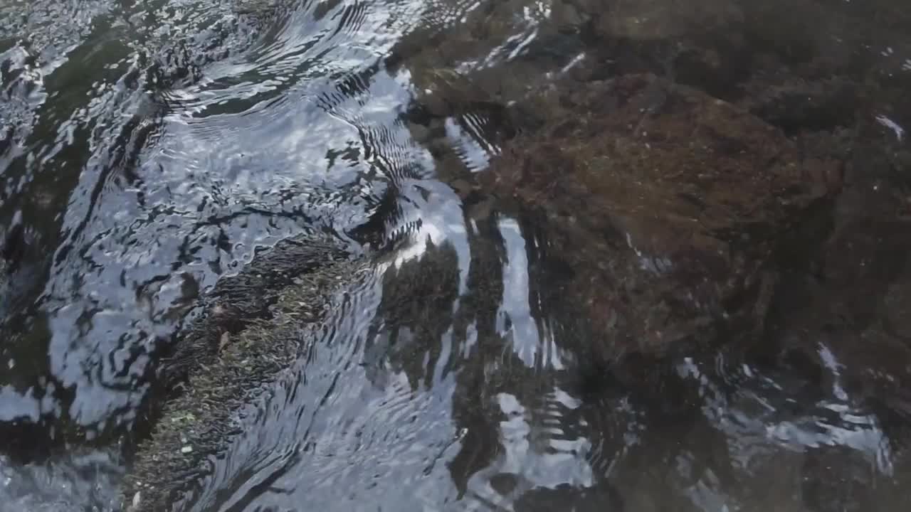 山涧水视频素材