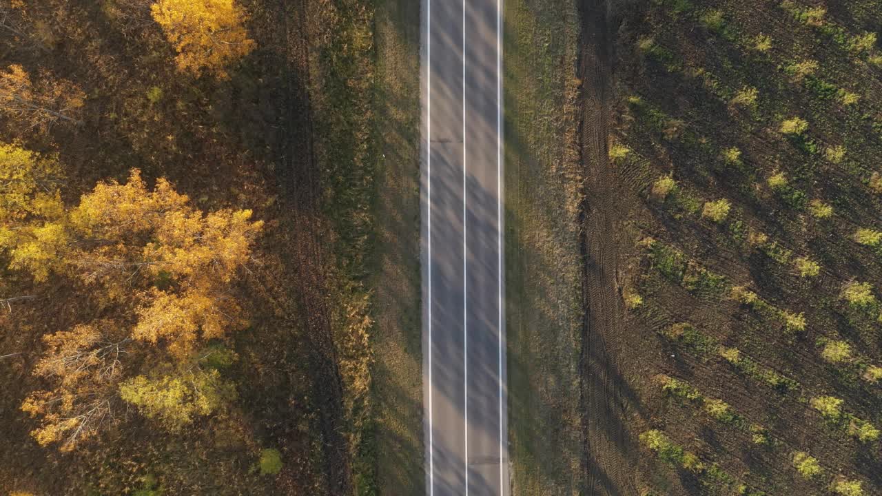 秋季半卡车和汽车在森林道路上的航拍，运输和交通概念视频素材