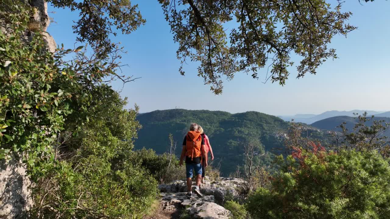 一对徒步旅行者到达绿色的山顶视频素材