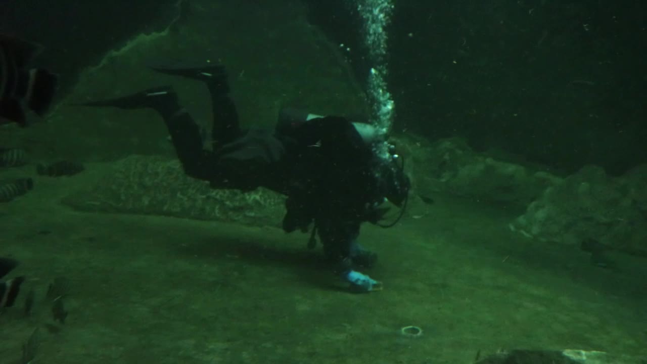 水下摄影。一名潜水员在水族箱底部游泳，清洗一个大型水族箱的底部视频素材