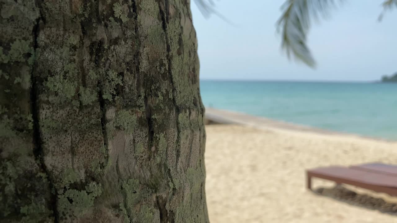 在空旷的海滩上放松。旅行到天堂海滩，拷贝空间。视频素材