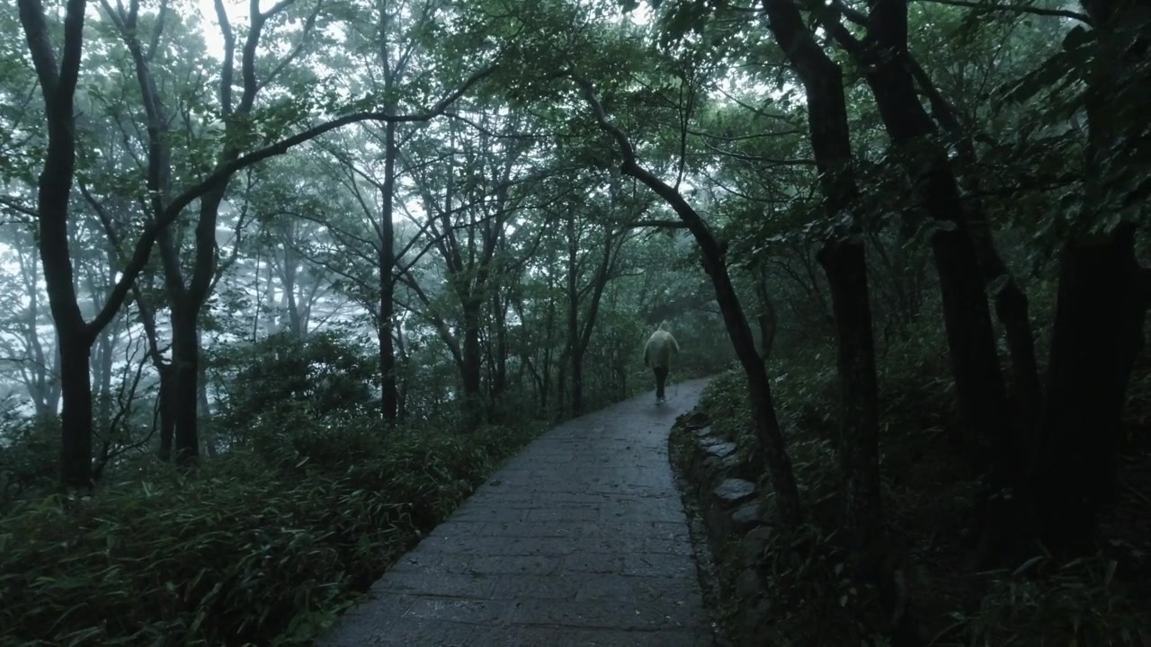 雨中的游客，中国安徽黄山视频素材画面3