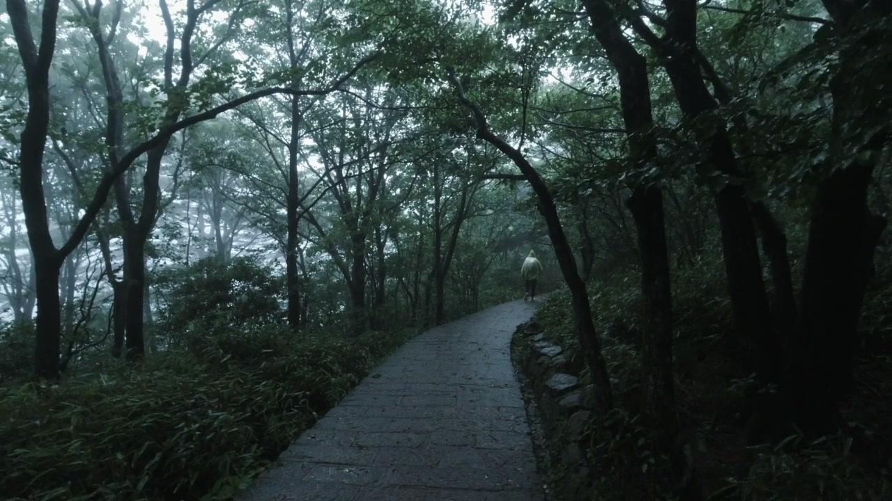 雨中的游客，中国安徽黄山视频素材画面4