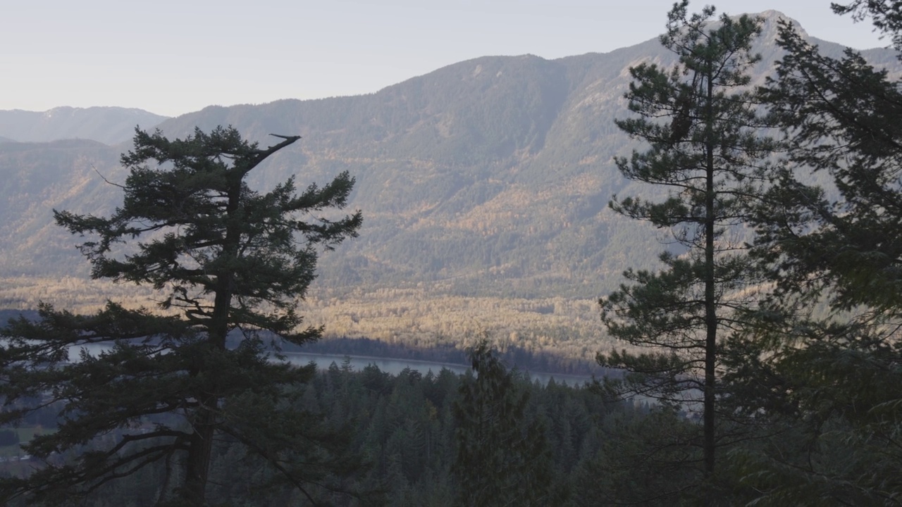 加拿大自然山脉景观全景。视频素材