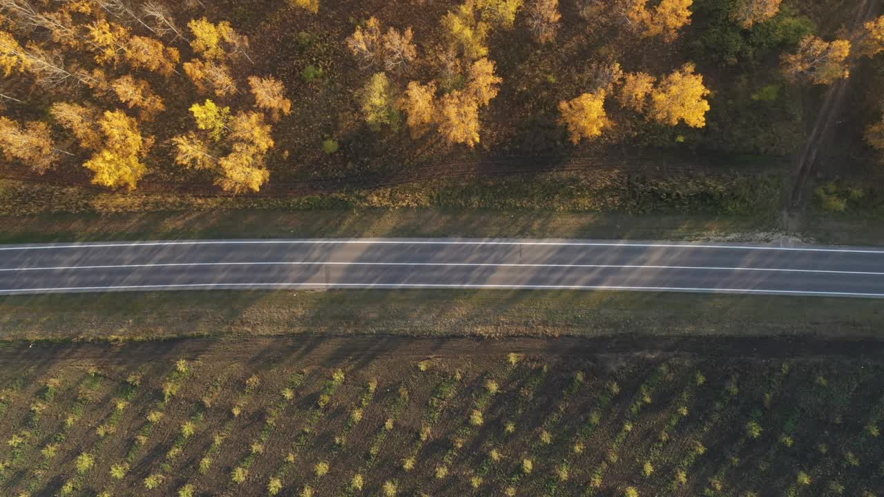 秋天下午公路上的汽车鸟瞰图，背景是树木繁茂的景观视频素材