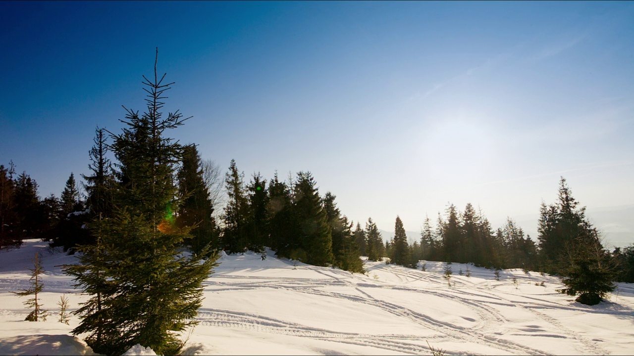 美丽的冬季山景。太阳从被雪覆盖的冷杉树枝上钻了出来。地面和树木都覆盖着一层厚厚的新鲜蓬松的雪视频素材