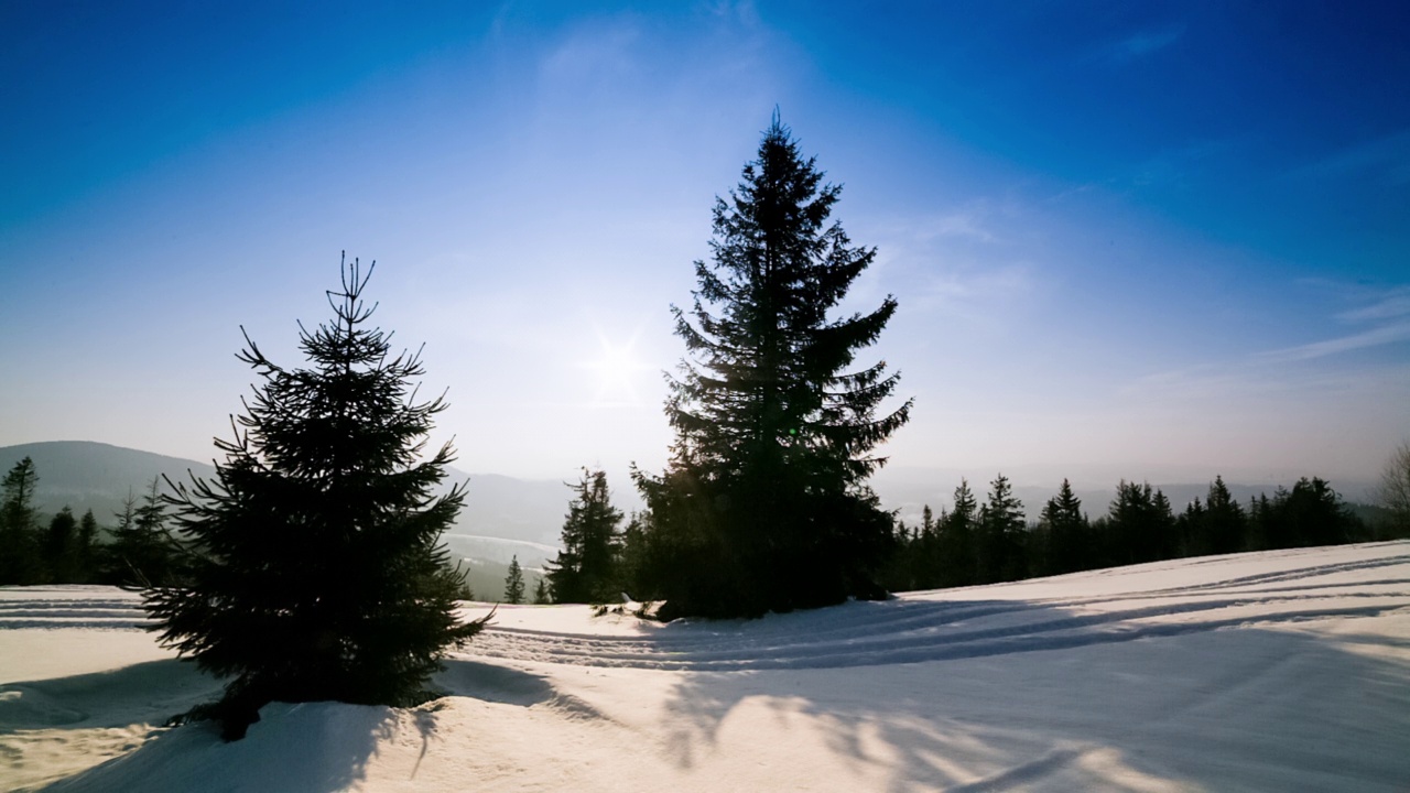 美丽的冬季山景。太阳从被雪覆盖的冷杉树枝上钻了出来。地面和树木都覆盖着一层厚厚的新鲜蓬松的雪视频素材