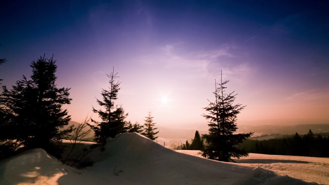 美丽的冬季山景。太阳从被雪覆盖的冷杉树枝上钻了出来。地面和树木都覆盖着一层厚厚的新鲜蓬松的雪视频素材