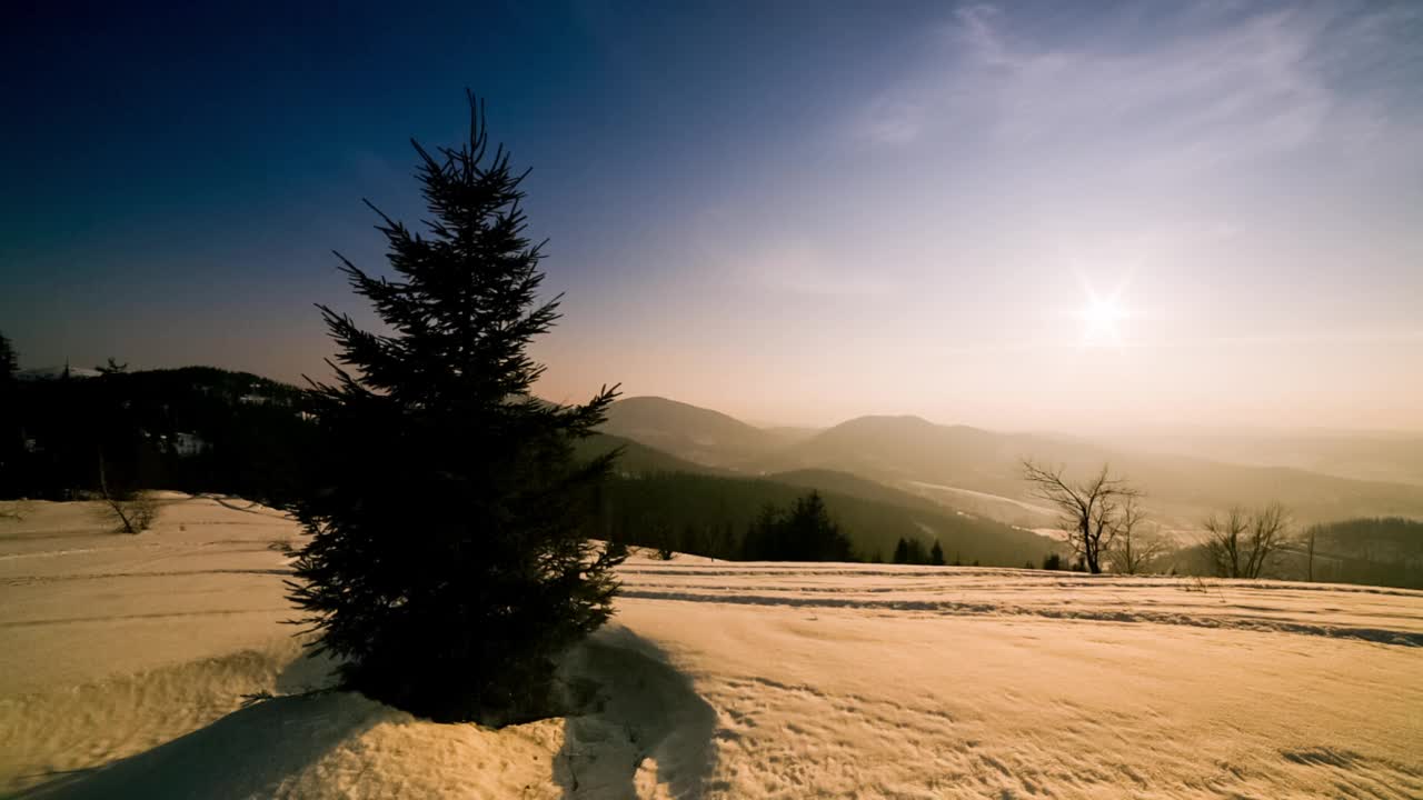 美丽的冬季山景。太阳从被雪覆盖的冷杉树枝上钻了出来。地面和树木都覆盖着一层厚厚的新鲜蓬松的雪视频素材