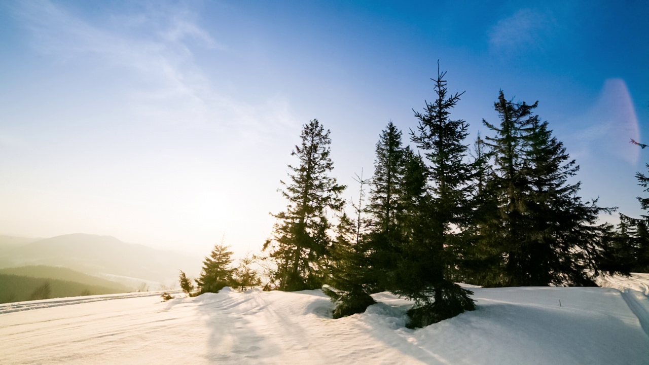 美丽的冬季山景。太阳从被雪覆盖的冷杉树枝上钻了出来。地面和树木都覆盖着一层厚厚的新鲜蓬松的雪视频素材