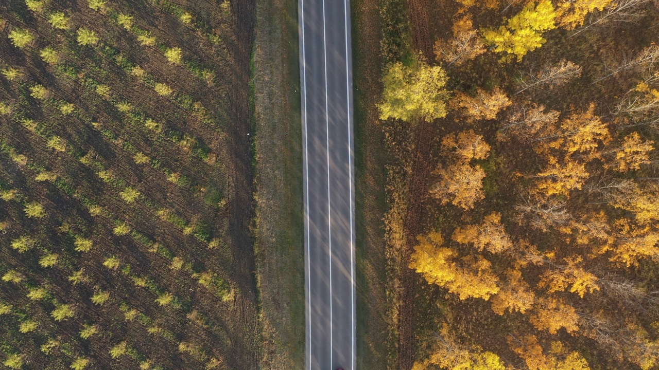 空中拍摄的卡车和汽车在秋天穿过森林的道路上，自上而下的无人机pov视频素材