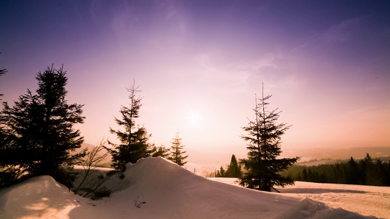 美丽的冬季山景。太阳从被雪覆盖的冷杉树枝上钻了出来。地面和树木都覆盖着一层厚厚的新鲜蓬松的雪视频素材